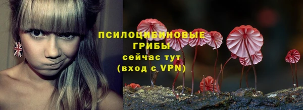 гидра Волоколамск