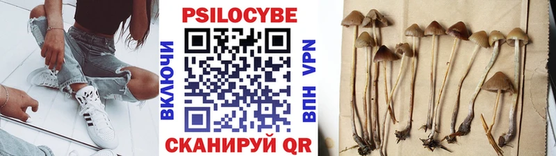 Псилоцибиновые грибы GOLDEN TEACHER  Елец 